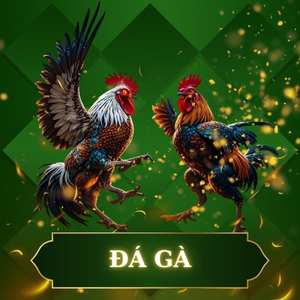 đá gà